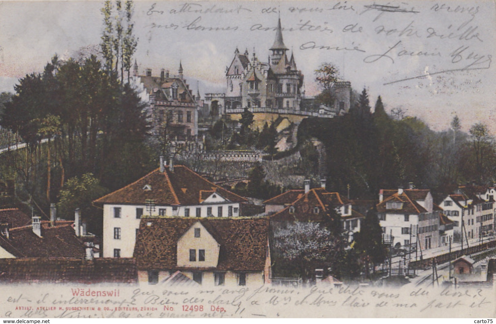 Suisse - Wädenswil - Ville - Postmarked 1908