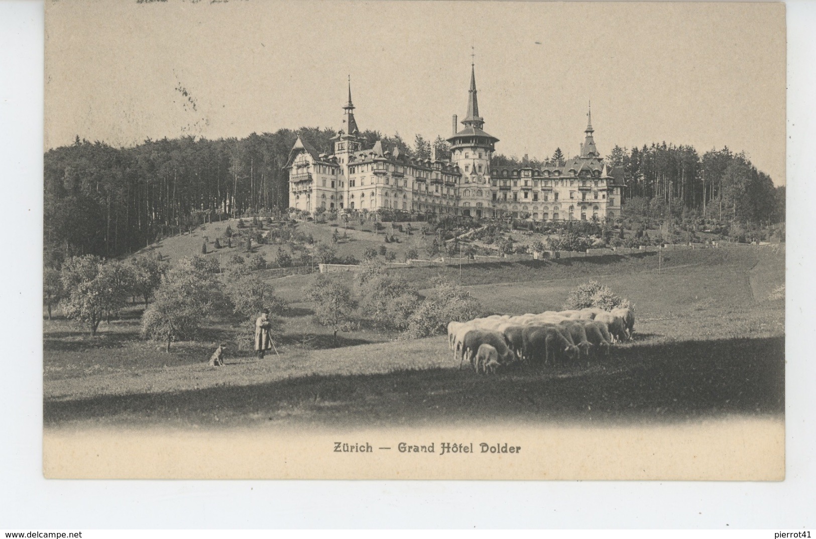 SUISSE - ZÜRICH - Grand Hôtel Dolder (troupeau de moutons avec berger et chien )