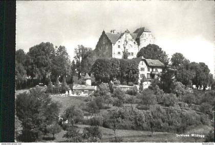 10554988 Wildegg Schloss Wildegg