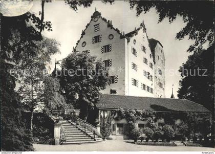 11627164 Wildegg Schloss Wildegg Schlosshof