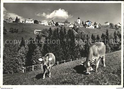 11637936 Wald AR Vorderland Teilansicht Kurort Ferienland Appenzell Viehweide Ku