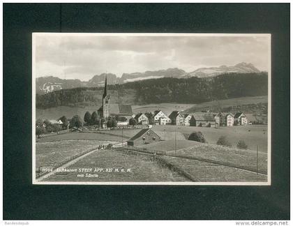 Suisse AR - Luftkurort Stein Appenzell mit Säntis ( vue generale Foto Gross )