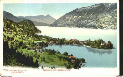 10552414 Iseltwald Iseltwald Brienzersee ungelaufen ca. 1900