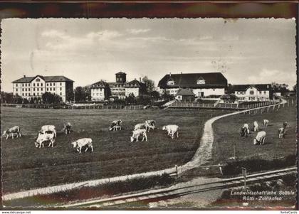 11308765 Zollikofen Landwirtschaftliche Schule Kuehe