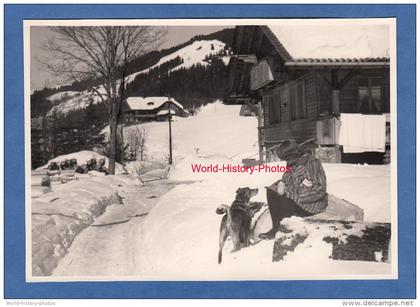 CPA photo - ERIZ , canton de Bern - Fille et son chien - TOP RARE - Race à identifier