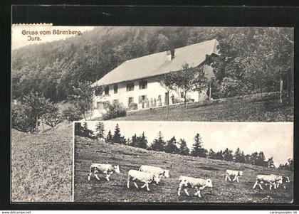 AK Romont, Haus auf dem Bürenberg mit Tierhaltung