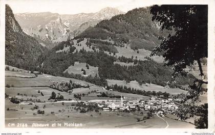 SUISSE - Albeuve et le Moléson - Vue générale de la ville - Montagnes et forêt - Carte postale ancienne