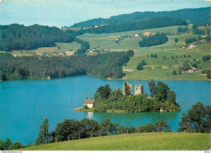 SUISSE LAC DE LA GRUYERE