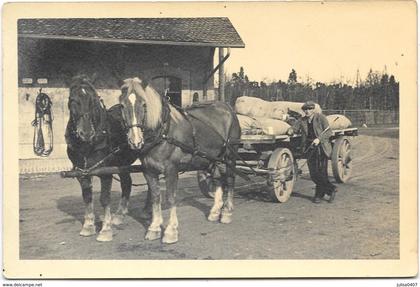 POSIEUX (Suisse) ancienne photographie institut agricole de Grangeneuve attelage gros plan