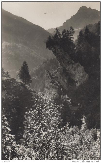 Suisse - Mühlehorn - Carte-Photo - Fuchsfallen - Cachet Frau Küng-Stoffel Gasthaus z. Traube - 1931