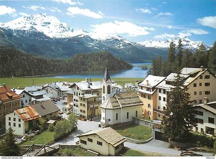 Suisse - GR Grisons - Champfèr 1825 m ù. M., Oberengadin - Vue Générale - CPM - Carte Neuve - Voir Scans Recto-Verso