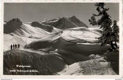 Waldgrenze nach Schwendi Küblis