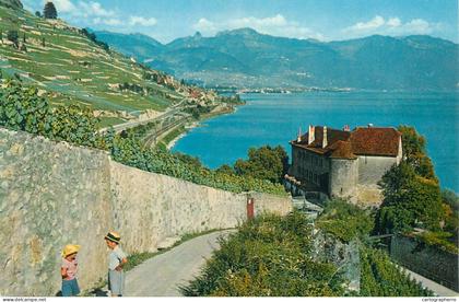 Switzerland Le Lavaux (lac Leman) le Chateau de Glerolles pres Rivaz