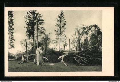 AK Les Breuleux, Le cyclone dans le Jura Bernois 1926, Forêt détruite, Unwetter