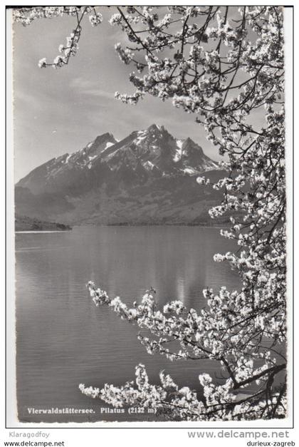 Vierwaldstättersee old postcard travelled 1957 bb160323