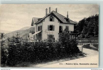 13251699 - Montmollin