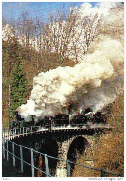 Carte postale Suisse  Bionay Chamby    locomotive  G3/3  Bercher train vapeur trés beau plan