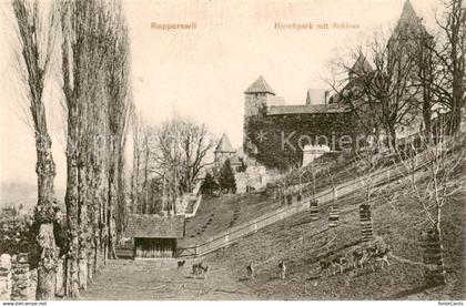 13824846 Rapperswil -Jona Rapperswyl Zuerichsee SG Hirschpark mit Schloss