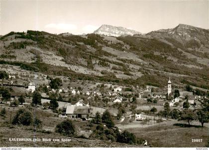 13891376 Kaltbrunn SG Panorama Blick zum Speer