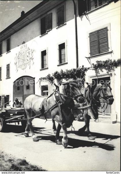 11629815 Neunkirch Bauernhof Pferdefuhrwerk