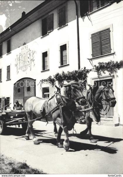 11976034 Neunkirch Bauernhof Pferdewagen