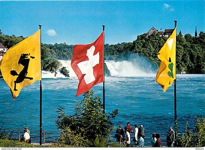 Suisse - SH Schaffhouse - Rheinfall - Chutes du Rhin - CPM - Carte Neuve - Voir Scans Recto-Verso