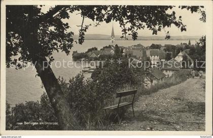 12336380 Berlingen Untersee Panorama