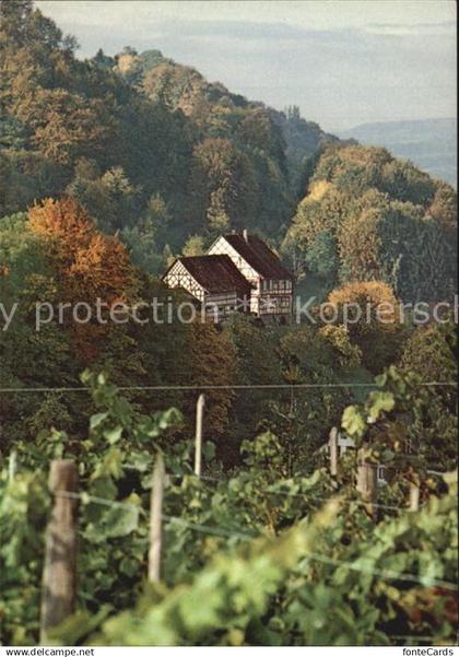 12588045 Salenstein TG Hinterburg Salenstein