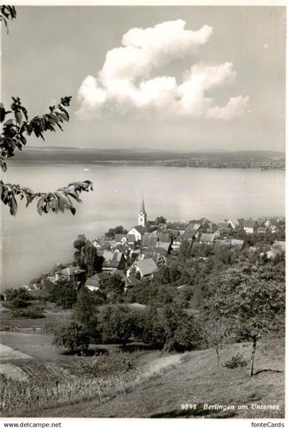 13896909 Berlingen Untersee Panorama Berlingen Untersee