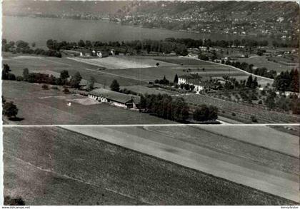 Tenero - Tenuta Agricola