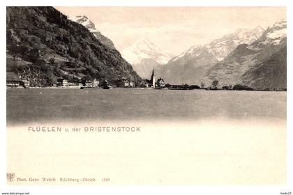 Suisse - Flüelen der Bristenstock