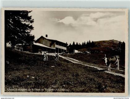 10605221 - Dent de Vaulion