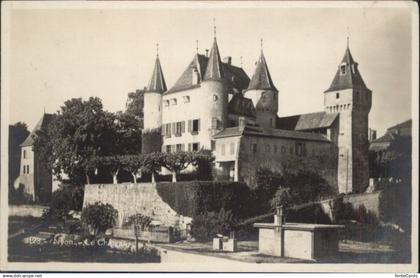 10892442 Nyon VD Nyon Chateau * Nyon