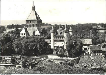 11654827 Vufflens-le-Chateau Panorama