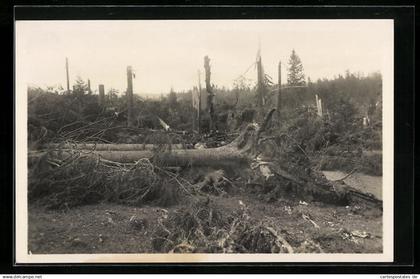 AK Chaux d`Abel, Forêt dévastée entre la Chaux d`Abel et les Breuleux, Unwetter