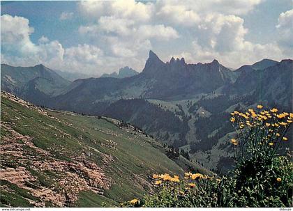 Suisse - VD Vaud - La Pierreuse - CPM - Carte Neuve - Voir Scans Recto-Verso