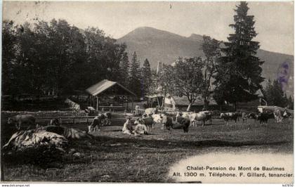 Chalet Pension du Mont de Baulmes