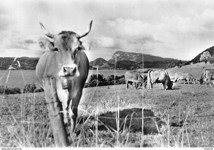 Lac de Joux le Chenit vache vaches cloche