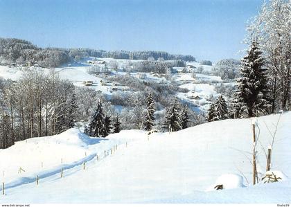 Monts de Corsier vus de Saumont Montreux