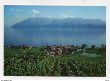 AK 121268 SWITZERLAND - Rivaz