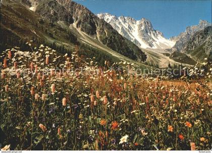 11980606 Champex-Lac Val Arpettaz Pointe Orny Ecandies