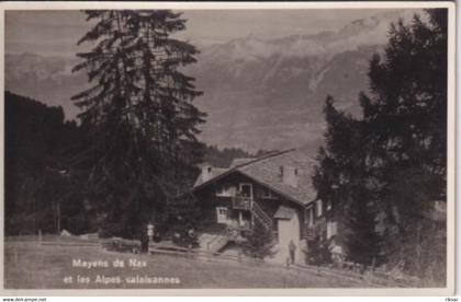 SUISSE(MAYENS DE NAX)