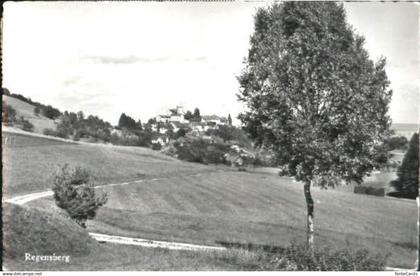 10558616 Regensberg Dielsdorf ZH Regensberg  x 1964