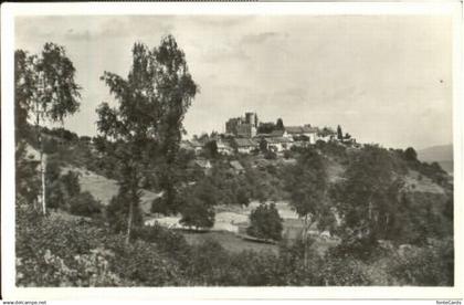 10567007 Regensberg Dielsdorf ZH Regensberg  ungelaufen ca. 1955