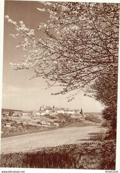 10573348 Regensberg Dielsdorf ZH Regensberg Blaukreuz Jgendwerk x