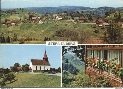 11466867 Sternenberg ZH Panorama Kirche