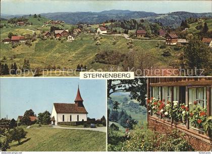 11715732 Sternenberg ZH Panorama Kirche Dorfmotiv