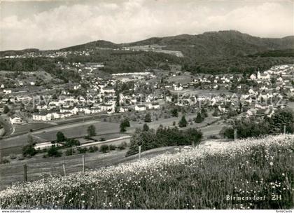 13769780 Birmensdorf Panorama