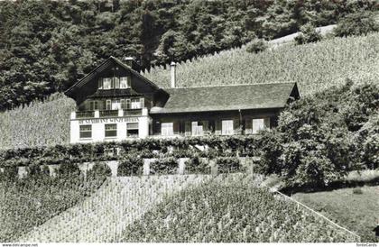 13989043 Weiningen  Dietikon ZH Restaurant Winzerhaus Weinberge