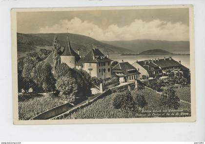 SUISSE - BERNE - ERLACH - Château de CERLIER et Ile de St. Pierre